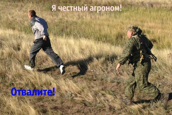 Даркнет кракен отзывы о платформе