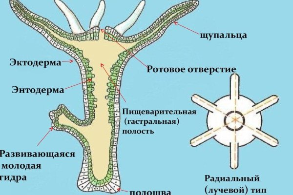 Кракен даркнет ссылка зеркало