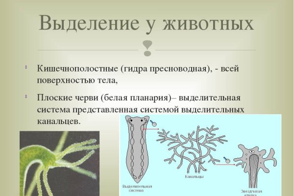 Ссылка кракен сайт зеркало