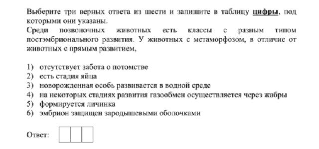 Ссылка на кракен 2krnmarket