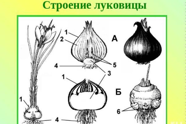 Кракен меф