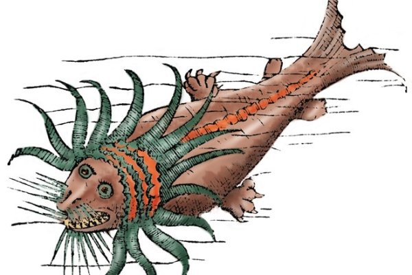 Kraken что это за сайт