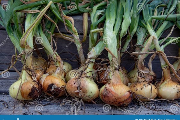 Кракен ссылка onion