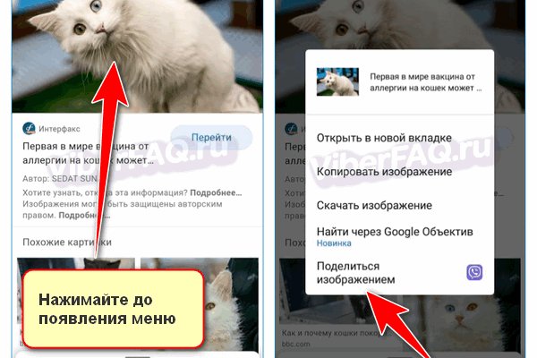 Даркнет заказ