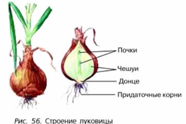 Кракен перестал работать